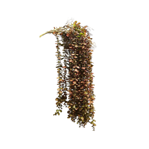 Plantes artificielles murale en rotin d'eucalyptus 104 cm
