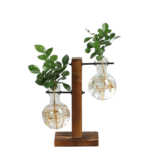 Vases à plantes hydroponiques Terrarium
