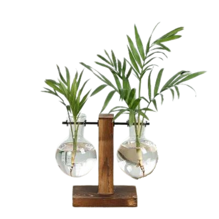 Vases à plantes hydroponiques Terrarium