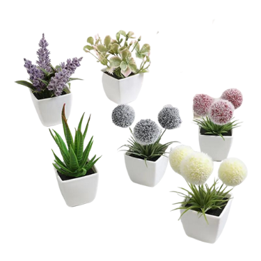 Pack Plantes Artificielles