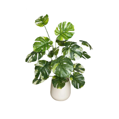 Plante Monstera artificielle de 65/100 cm