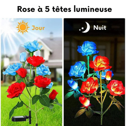 Roses Lampes Solaires à 5 Têtes