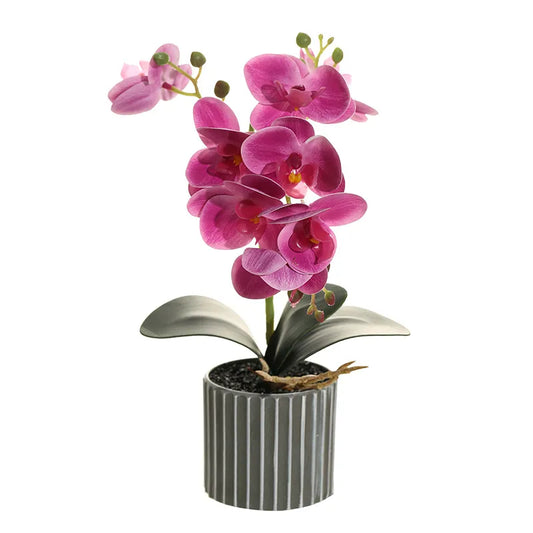 Phalaenopsis artificiel en pot