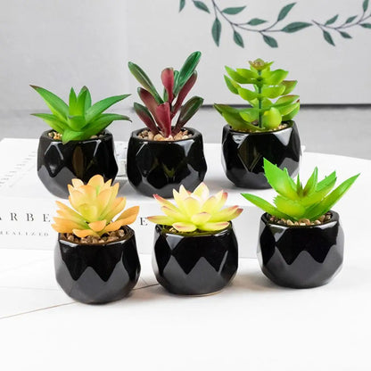 Plantes succulentes artificielles en céramique